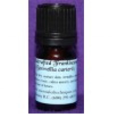 Frankincense Wildcrafted